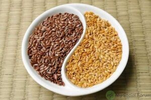 flax seeds for menstruation