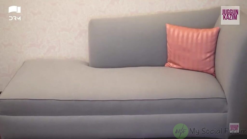 the beautiful couch