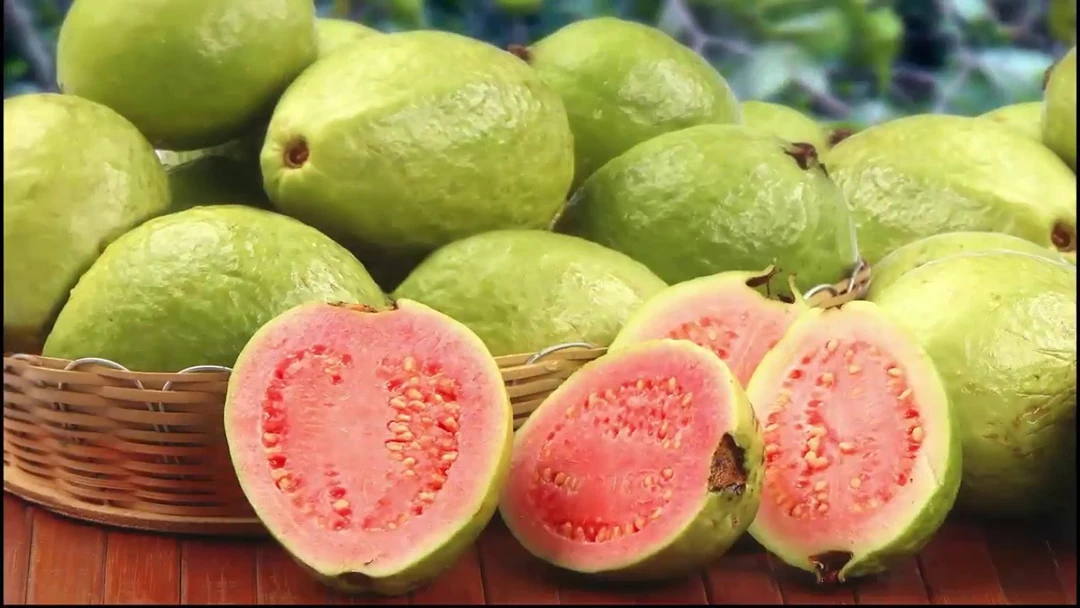 امرود کے بے شمار فوائد