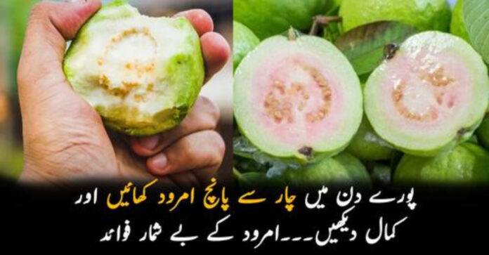 امرود کے بے شمار فوائد