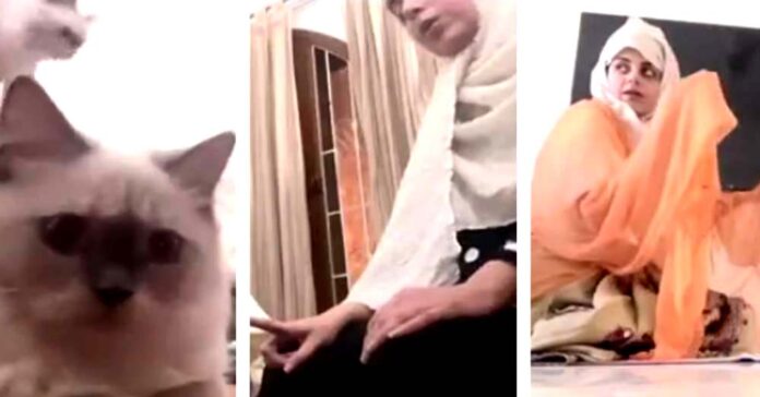 Yashma Gill Namaz With cat video