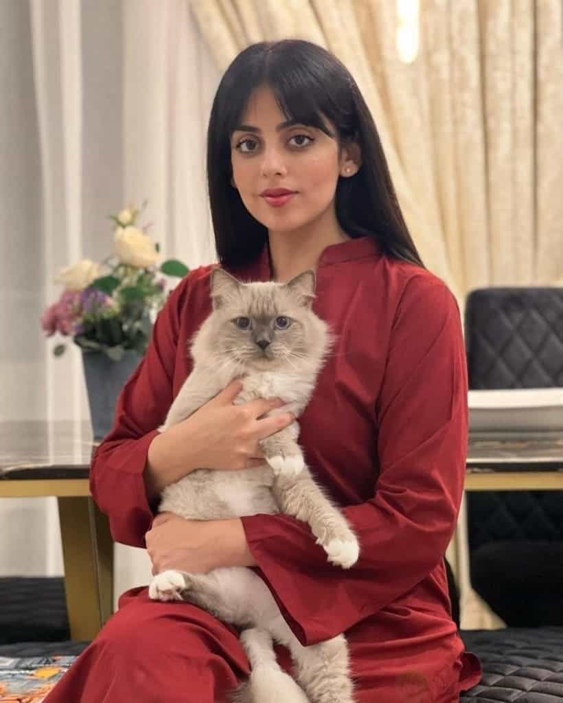 Yashma Gill Namaz With cat video